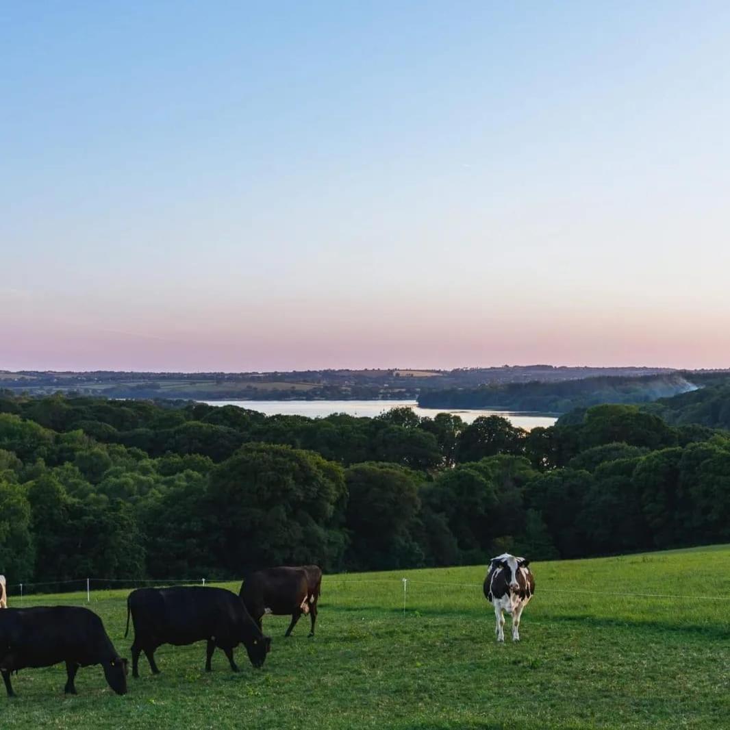 Broomhill Barns Minwear ภายนอก รูปภาพ